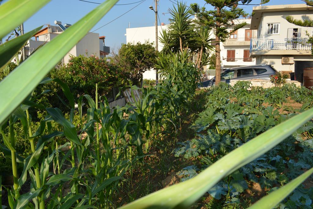 Thegaia Studios Rethymno  ภายนอก รูปภาพ